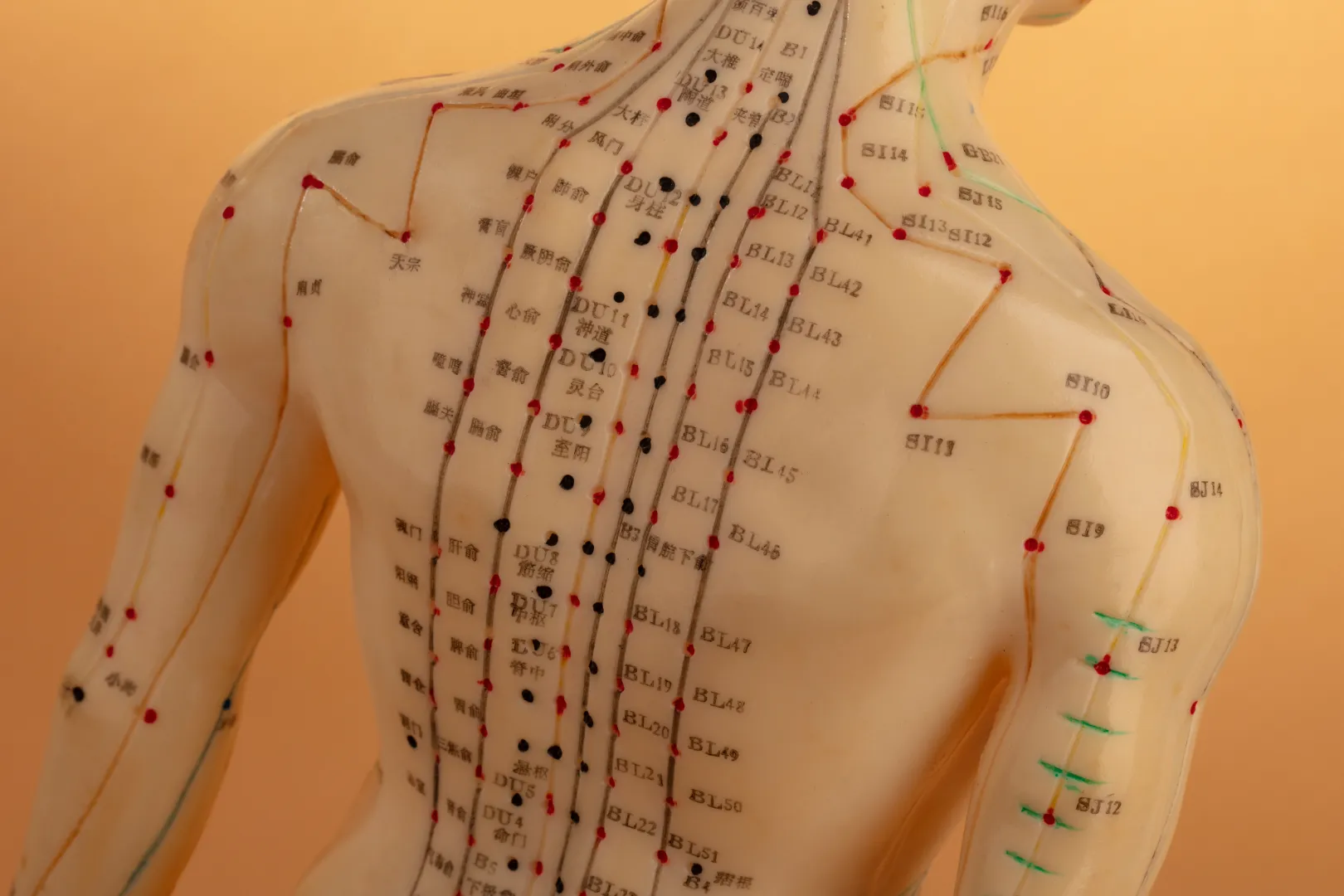 Acupuncture point and qi