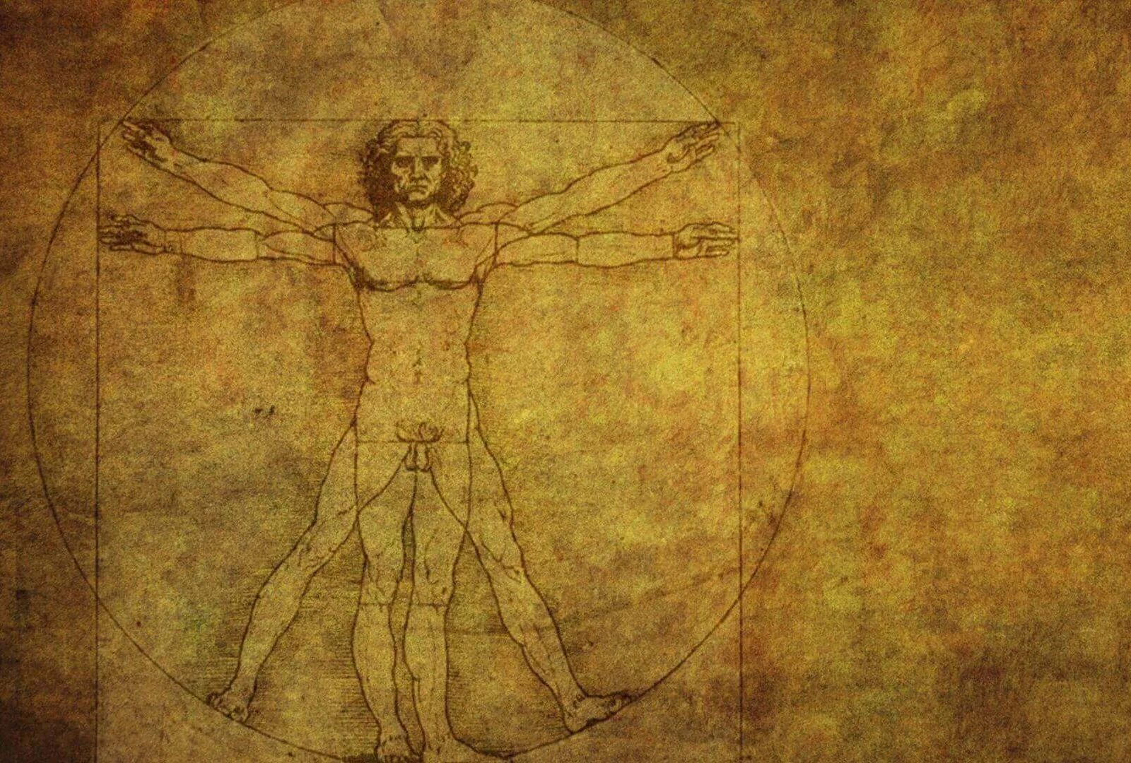Vitruvian man wellness illustration